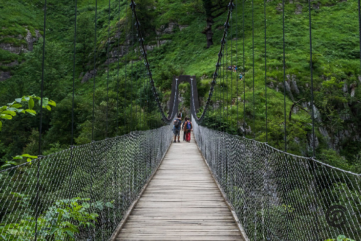 passerelle holzarte