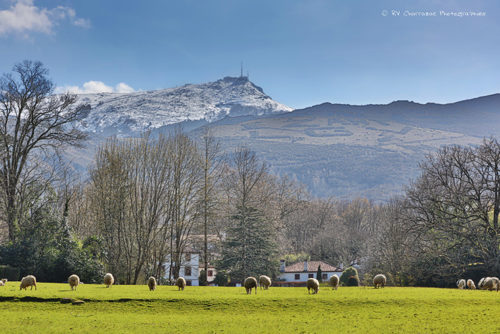 Hervé Charrazac Photographie