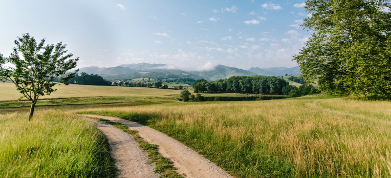 Domaine harrieta-lac-pays basque