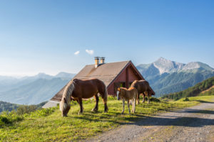 Chalets d'Iraty- Larrau-vue montagne basque