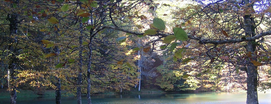 Chalets iraty-lac en automne