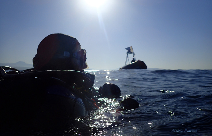 Tech océan-plongeur-Pays Basque