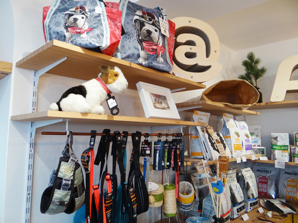 babine store concept-Bayonne-accessoires chien