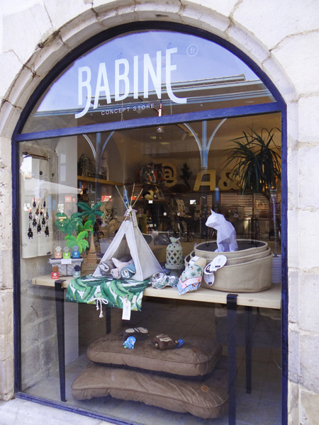 Babine Concept Store pour Chien et Chat-Bayonne