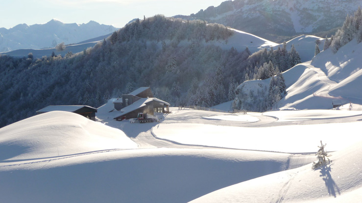 Espace nodique Issarbe-vallée en Baréthous-Le Grand Tétras