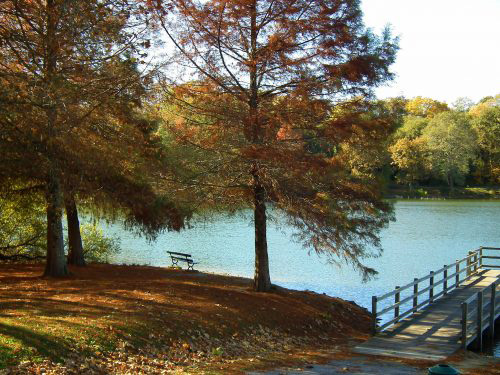 Automne au lac marion à biarritz