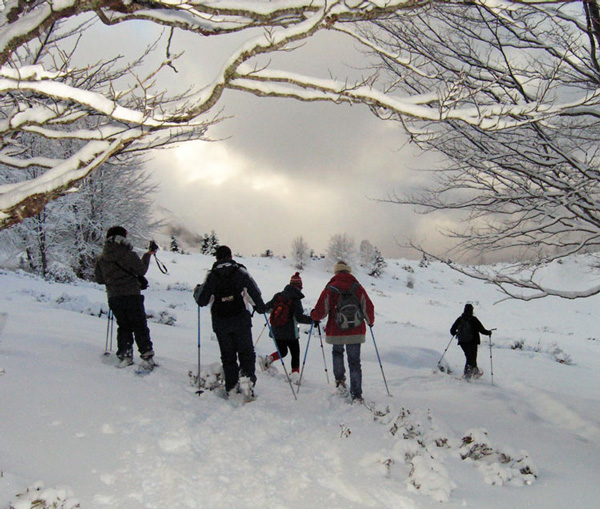 Aventure nordique-balades en raquettes-Gourette