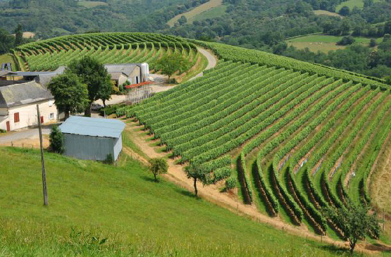 pays-basque-irouleguy