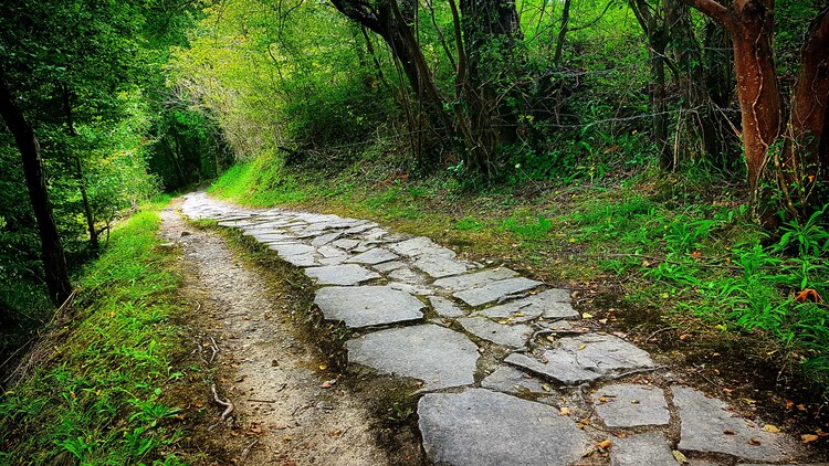 marche-des-sorcieres-randonnee-sentier