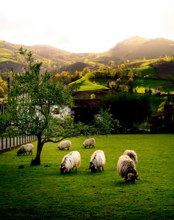 saint jean pied de port pays basque