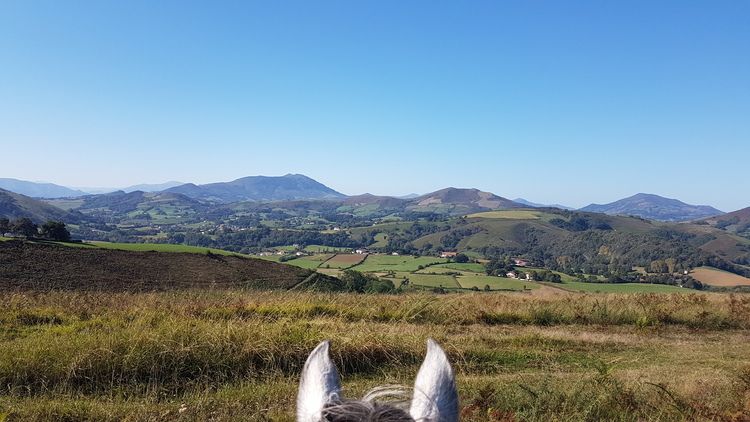 cheval-sentier-basque