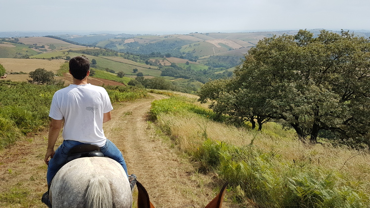 homme-cheval-pays-basque