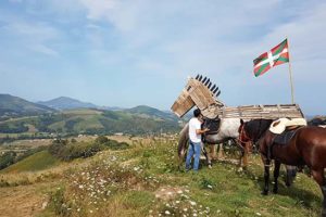 chapitalia-balade-cheval-pays-basque