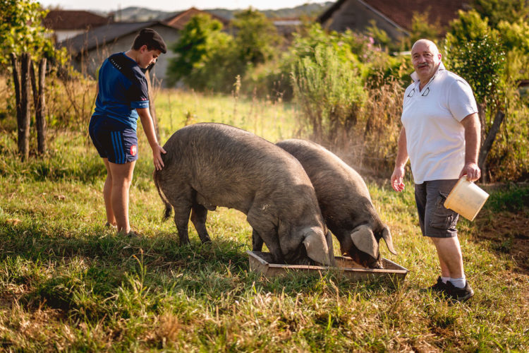 Oyharçabal-famille-porc-noir