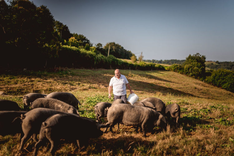 Oyharçabal-porc-gascon