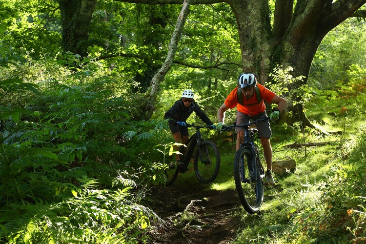 randonnee-foret-pays-basque-vtt-electrique