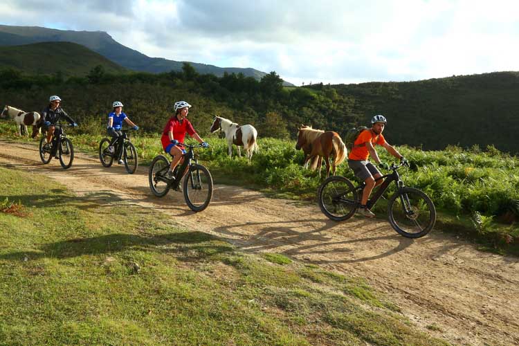 vtt-electrique-campagne-basque-pottok