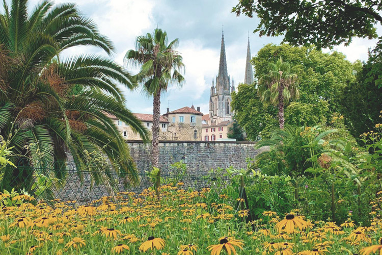 Jardin botanique de Bayonne avec vue sur la cathédrale