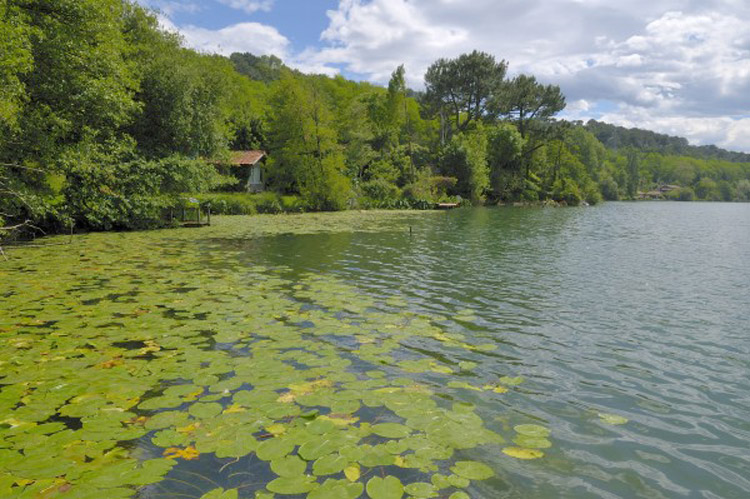 Lac Mouriscout à Biarritz-Bidart