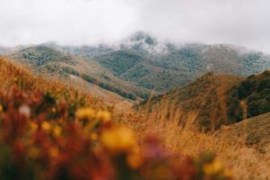 pays-basque-colline-automne