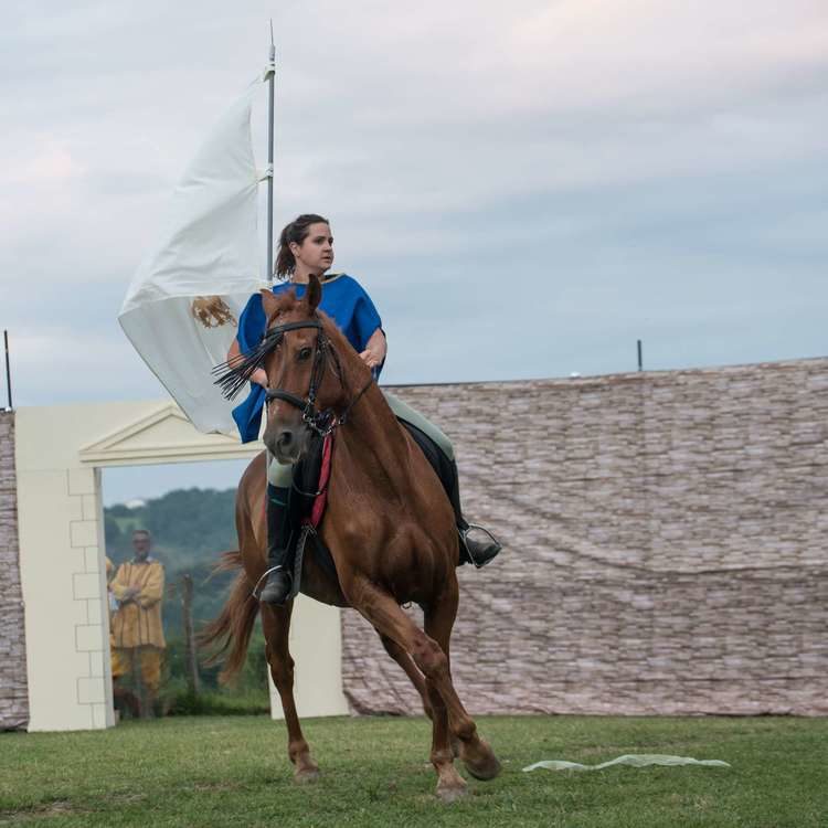 cavaliere-chevalier-bidache