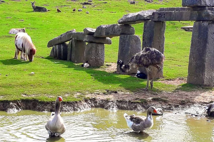 Parc naturel de pagoeta animaux