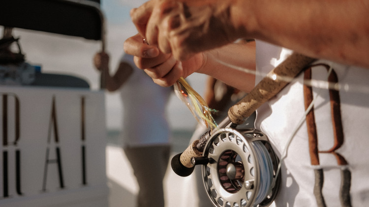 Main et canne à pêche