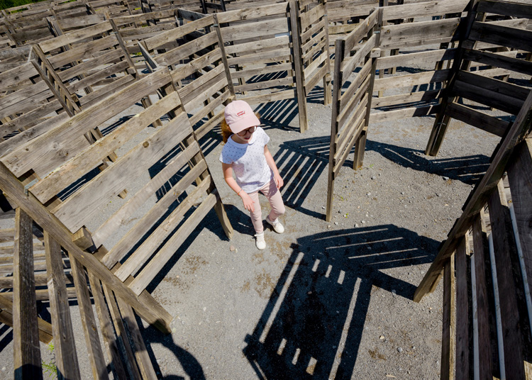 ludopia-enfant-labyrinthe-bois