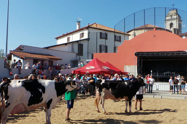 fetes urrugne pays basque