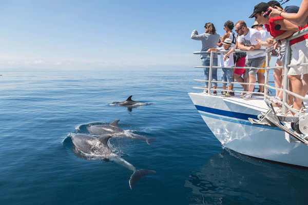 explore-ocean-observation