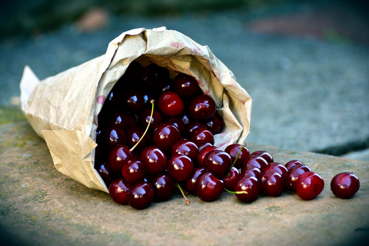 cerises itxassou or noir pays basque