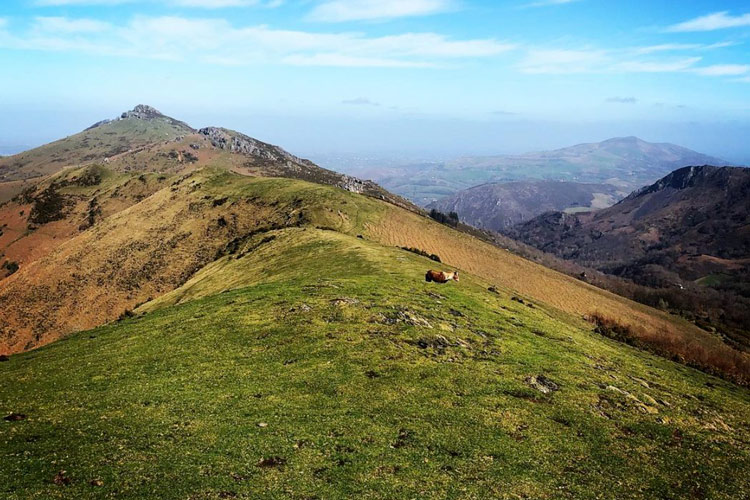 mont artazmendi