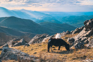 couverture-instagram-photo-semaine-sorties-week-end-pays-basque-2-avril