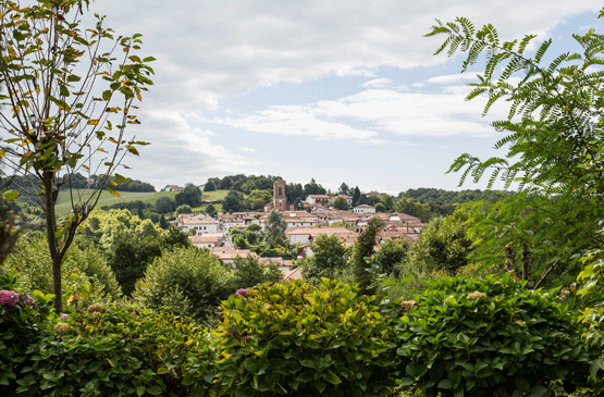 Collines-Iduki-La-Bastide-Clairence