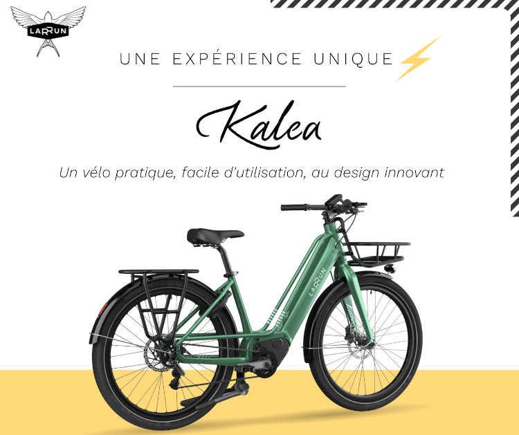 Modèle de vélo Kalea par Larrun