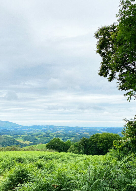 photo semaine pays basque ibardin