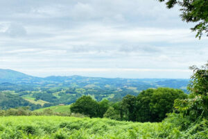 photo semaine pays basque ibardin week-end 23 juillet