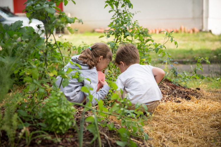 enfants dans un jardin