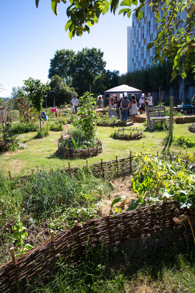 sensibilisation à la permaculture par L'Échappée verte