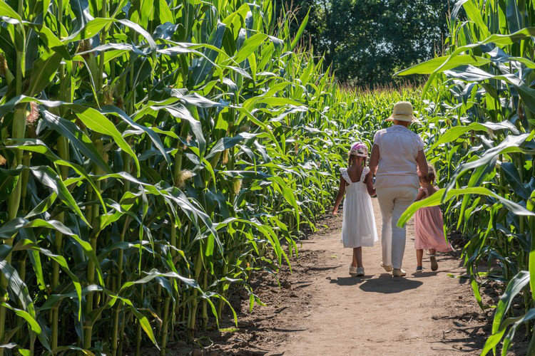 famille marchant dans le labyrinthe à Urrugne