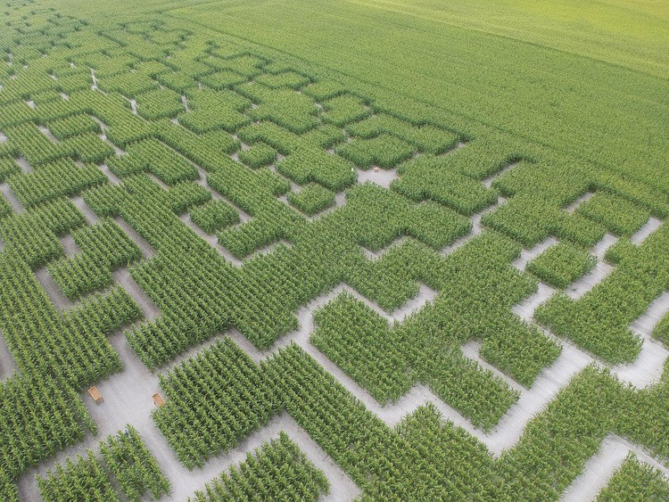 Pop Corn Labyrinthe à Urrugne