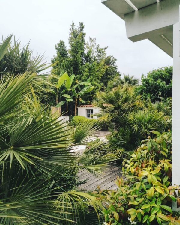 simon-le-jardininer-jardin-personnalise-jardin-naturel-biarritz