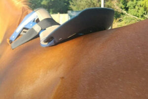 selle-essai-saddle-fitter-pays-basque