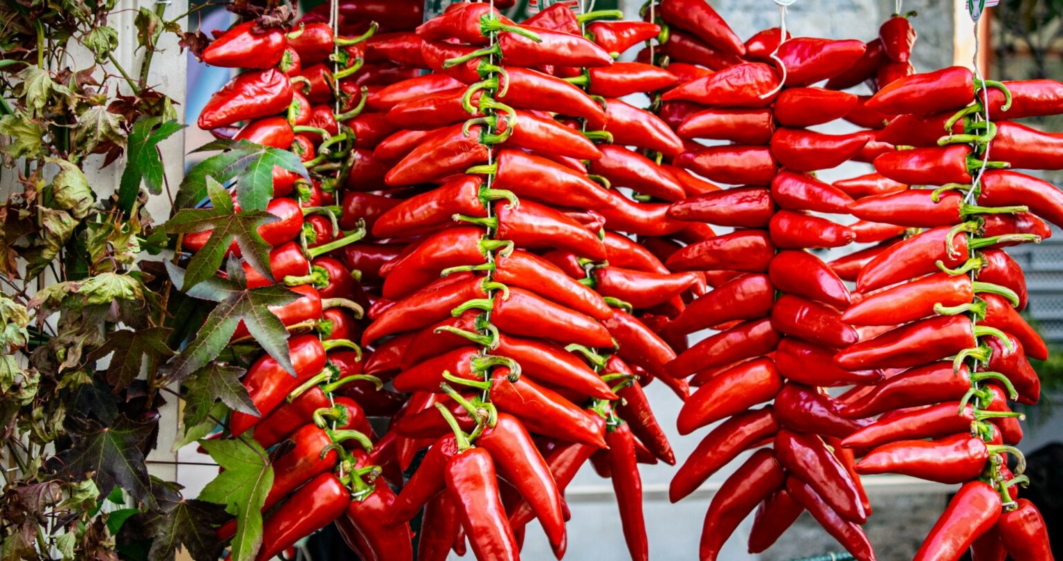 La Fête du Piment d'Espelette 2022 Que faire au Pays Basque