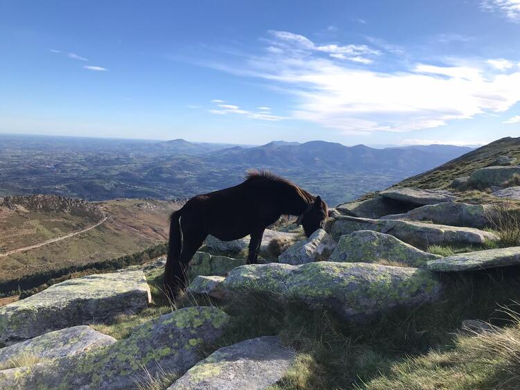 pays basque