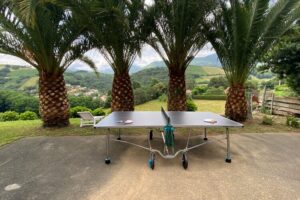 jeux ping-pong