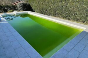 maintenance-piscine-eau-verte-avant-apres