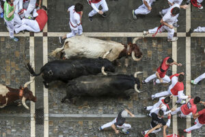 feria-sanfermin-taureau-accueil