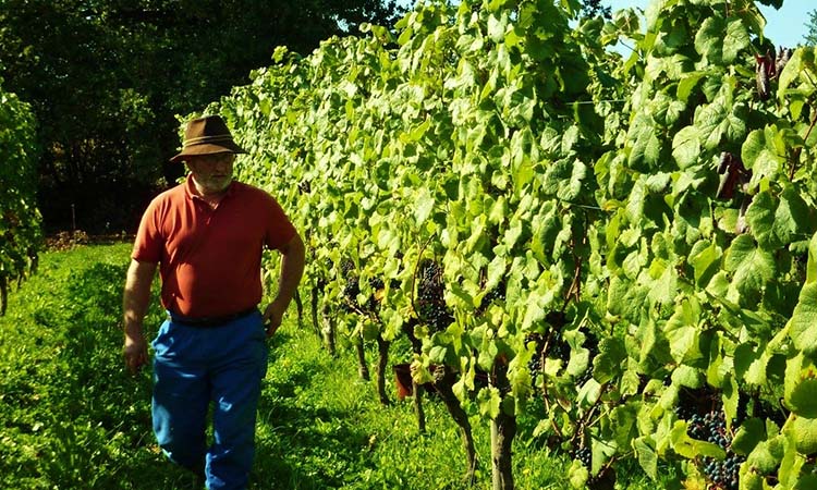 Jean-Marc Larroudé viticulteur autodidacte passionné, qui produit des vins haut de gamme à prix accessibles