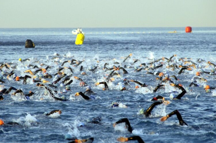 traversée de la baie 2023